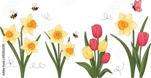 Spring daffodils and tulips with bees and butterfly on transparent background