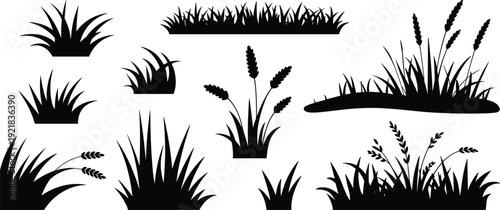 Collection of black silhouette grass clumps and seed stalks isolated on a white background plants