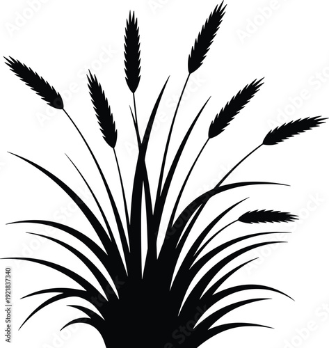 Silhouette of a clump of wheat stalks and grass blades in black and white, representing harvest, agriculture, and natural