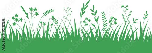 Silhouette of lush green grass and delicate wildflowers creating a natural border against a clean white background