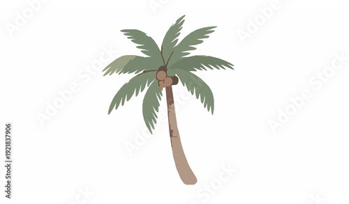 Hand drawn watercolor coconut palm tree vector illustration tropical clip art isolated on white