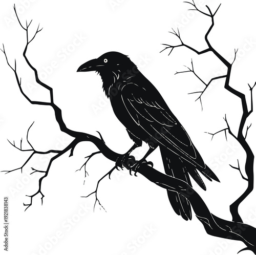  Minimalist horror line art, bold outline, crow perched on bare twisted branch, clean simple shapes 2