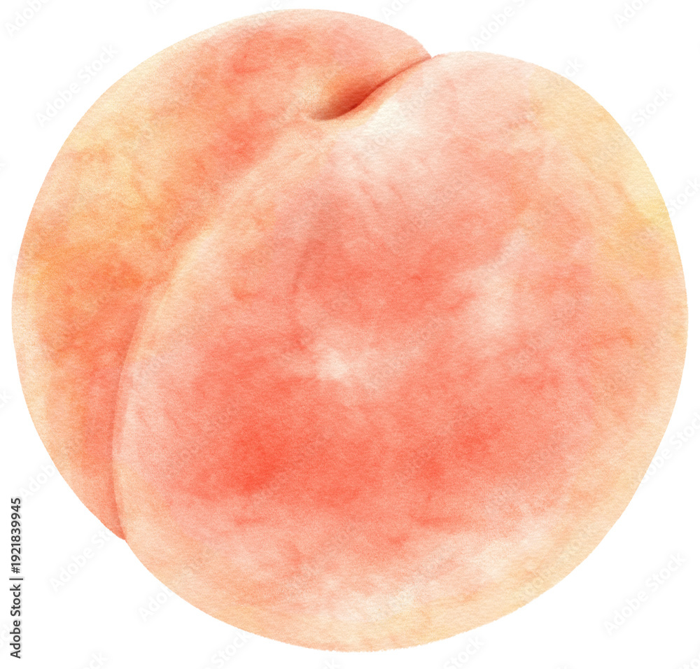 Fototapeta premium Peach fruit watercolor illustration