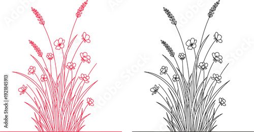 Isolated illustration of cattails on transparent background