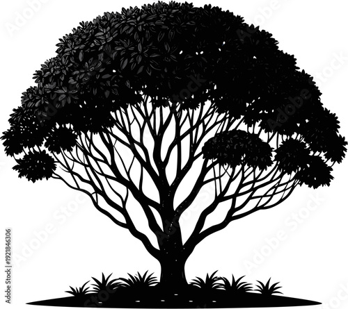 Black Bush Shrub Silhouette Round Garden Tree Vector