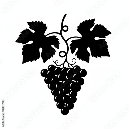 Grapes Bunch with Leaves Silhouette Vector Illustration Isolated on White Background
