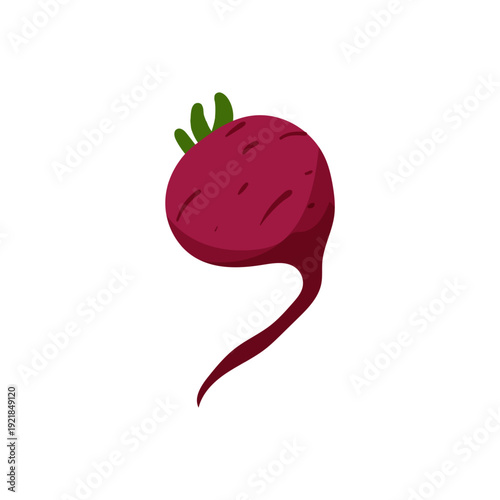 Vector illustration of a dark pink beetroot forming the number 9 shape.