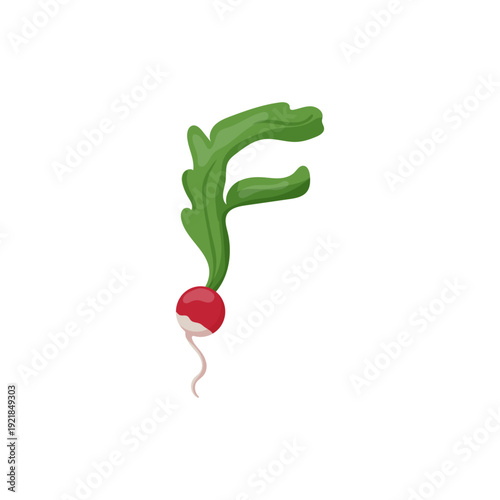 Vector illustration of a red radish with green leaves forming the letter F shape.