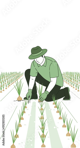 Farmer Cultivating Field Of Fresh Organic Onions In Sustainable Agriculture Style