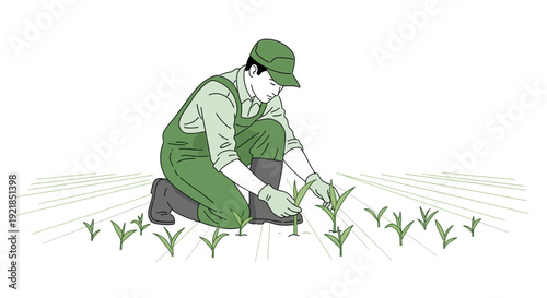 Farmer Cultivating Young Crops in a Field