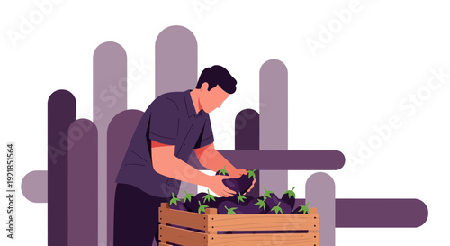 Farmer Harvesting Fresh Eggplants From Wooden Crate Minimalist Illustration Style