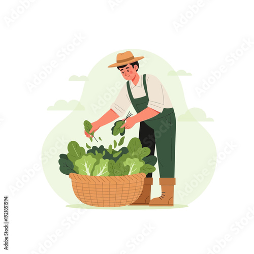 Farmer Harvesting Fresh Greens From Garden Basket Organic Agriculture Illustration