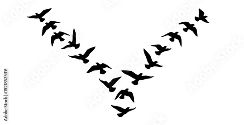 Minimal V Shape Flying Bird Flock Silhouette Hand Drawn Vector