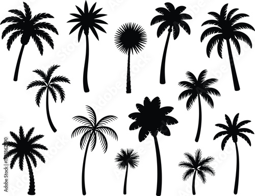 Palm tree silhouette vector illustration, tropical beach design, exotic tree art, black palm shapes, summer landscape inspiration, nature outline, coastal scenery