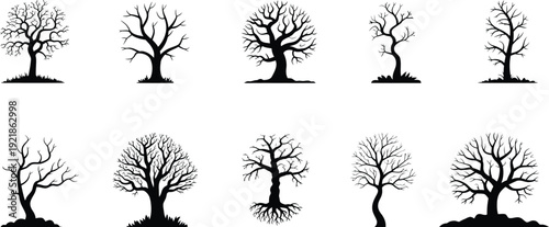 Leafless tree silhouette vector illustration, bare tree design, black tree art, winter forest shapes, nature outline, branching pattern, landscape inspiration