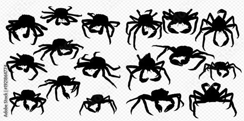 A diverse collection of black crab silhouettes in various poses and shapes on a transparent background.
