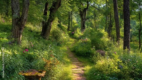 Lush forest path surrounded by vibrant flowers in a sunny setting