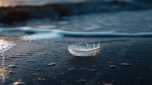 Delicate feather resting on the shore at sunset