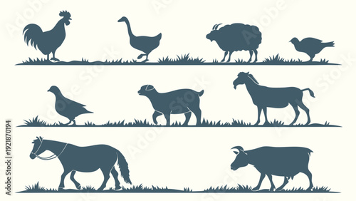 Farm Animal Silhouettes Set Livestock Icons for Agriculture Design Poultry Horse Goat Cow Turkey Goose Illustration