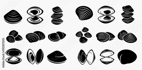 A graphic set of shellfish icons, featuring clams in various arrangements and styles on a transparent background.