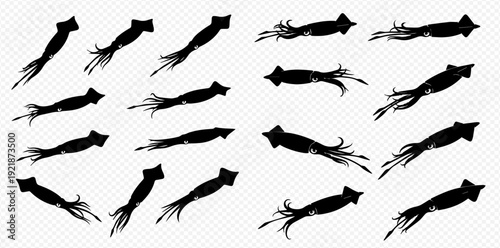 A diverse collection of black squid silhouettes in various dynamic swimming poses isolated on a transparent background.