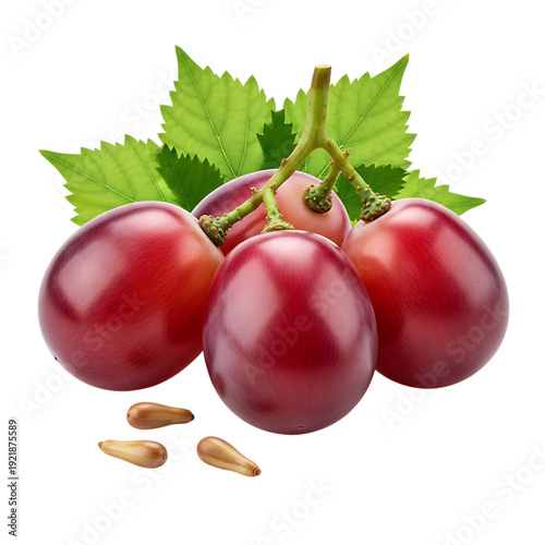 A cluster of ripe red grapes with green leaves and fallen seeds ideal for design on transparent background