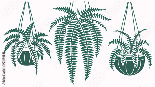 Lush Hanging Fern Plants Illustration for Interior Design Home Decor Web Graphics Tropical Botanical Stencil Style