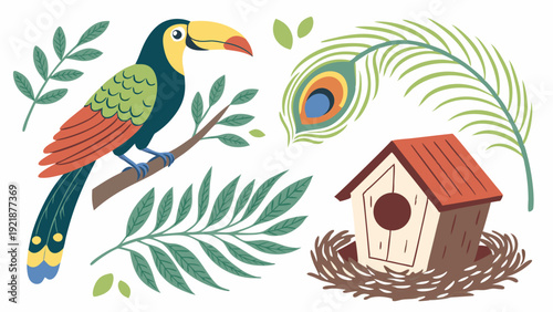 Vibrant Toucan Bird Tropical Leaves Peacock Feather Birdhouse Nest Illustration Perfect For Nature Education Wildlife Design Projects