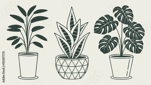 Minimalist Houseplants Illustration for Home Decor Blog Design Tropical Foliage Vector Art