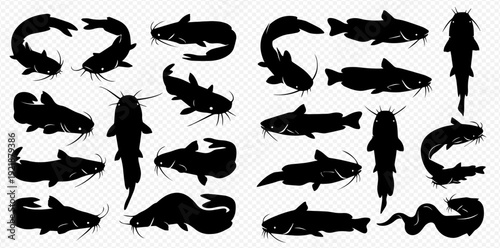 A large collection of black catfish silhouettes in various swimming poses and angles, isolated on a transparent background.