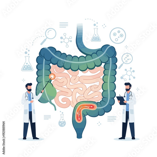 Doctors examine human digestive system, intestines, colon, medical research, science, healthcare concept