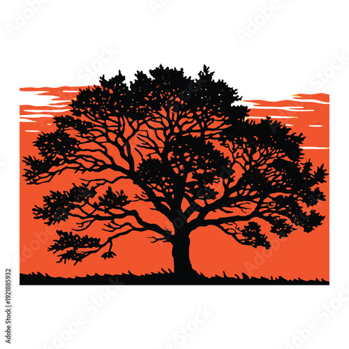 Tree silhouette dramatic orange sky