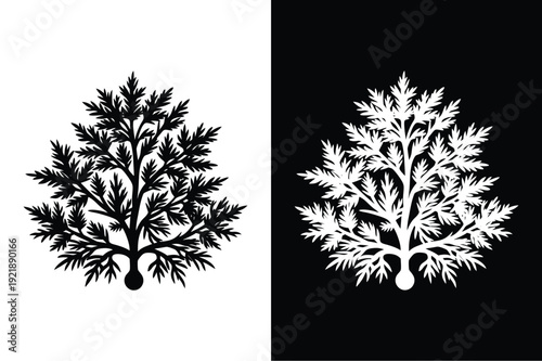 Larch vector icon graphic isolated sketch illustration on white background.