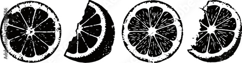 Black and white citrus fruit slices set stylized orange and lemon segments in vintage illustration