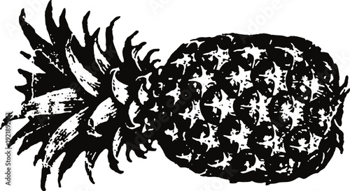 Vintage black and white pineapple illustration with detailed textured surface and leaves