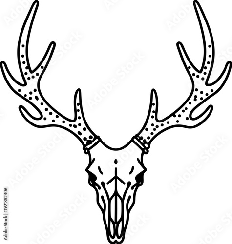 Deer skull with large antlers black line art illustration wilderness, hunting trophy, nature symbol, rustic decor