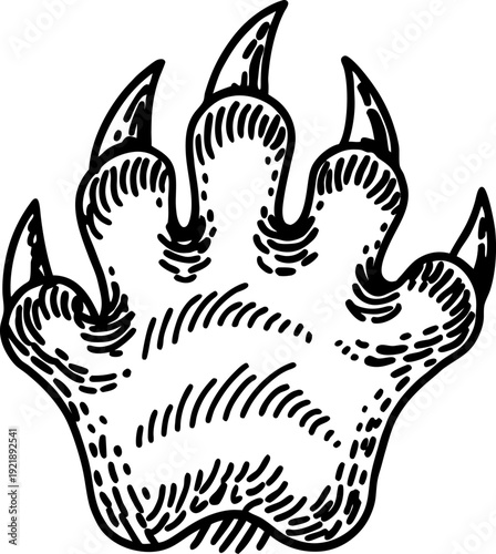 animal paw print with sharp claws wild predator footprint sketch in black and white