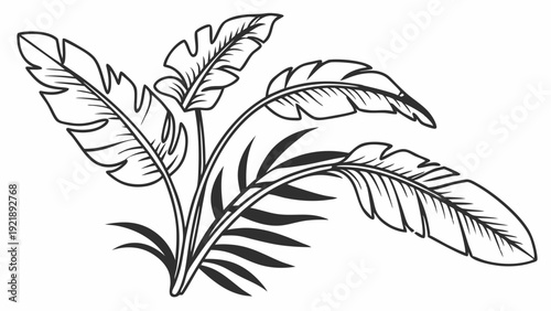 Tropical Banana Leaves and Palm Foliage Illustration for Exotic Travel Brochures Summer Website Design Jungle Vibe