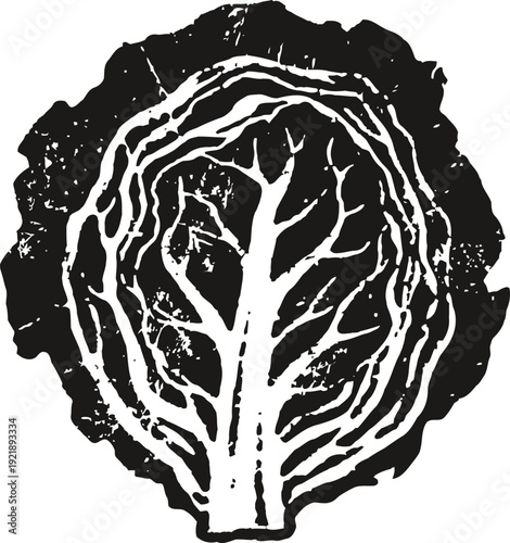 Black and white graphic illustration of a broccoli cross section with detailed inner structure