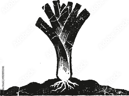 vintage leek vegetable illustration with roots in soil farm fresh gardening produce design
