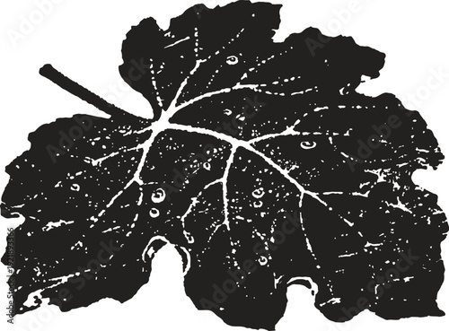 Single black grape leaf silhouette with visible veins and water droplets isolated on white background