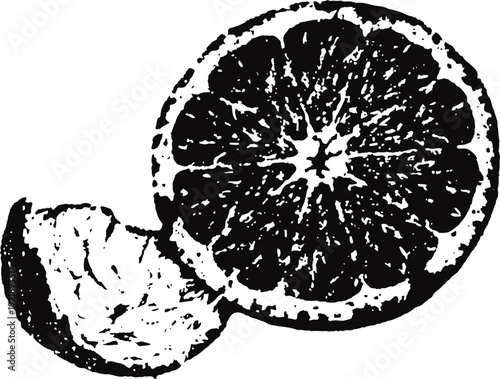 Black and white citrus fruit slices illustration vintage orange and tangerine segment drawing