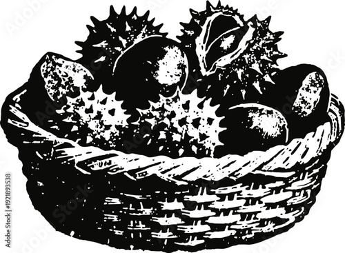 Basket filled with chestnuts in spiky shells autumn harvest rustic illustration