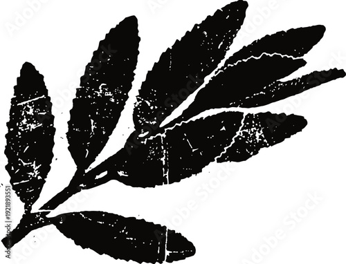 black silhouette of a leafy branch with multiple textured elongated leaves