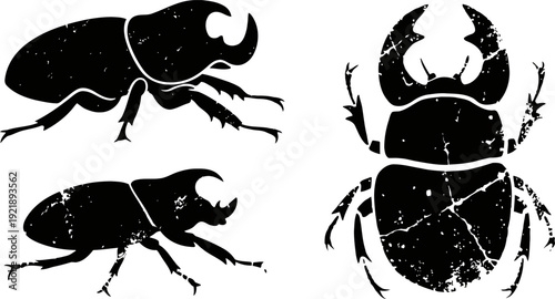 Vintage rhinoceros beetle silhouettes set grunge insect illustrations with detailed horns and legs