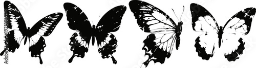 black and white butterfly silhouettes with detailed wings in various flying poses