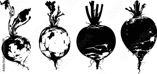 beetroot silhouettes set with tops root vegetables isolated black ink illustration