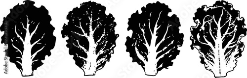 black and white silhouette illustrations of leafy vegetable greens with textured edges