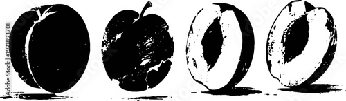 Vintage plum illustrations with whole and halved fruit in black and white