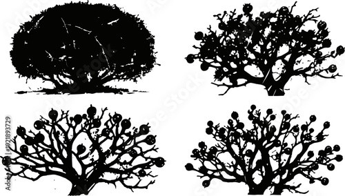 silhouettes of pomegranate trees with branches and fruit cluster shapes in black